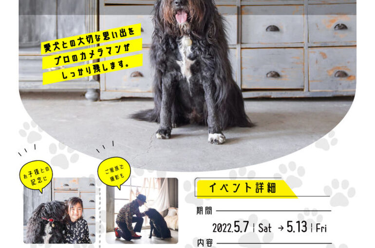 ドックフォトチラシ修正版1-722x1024