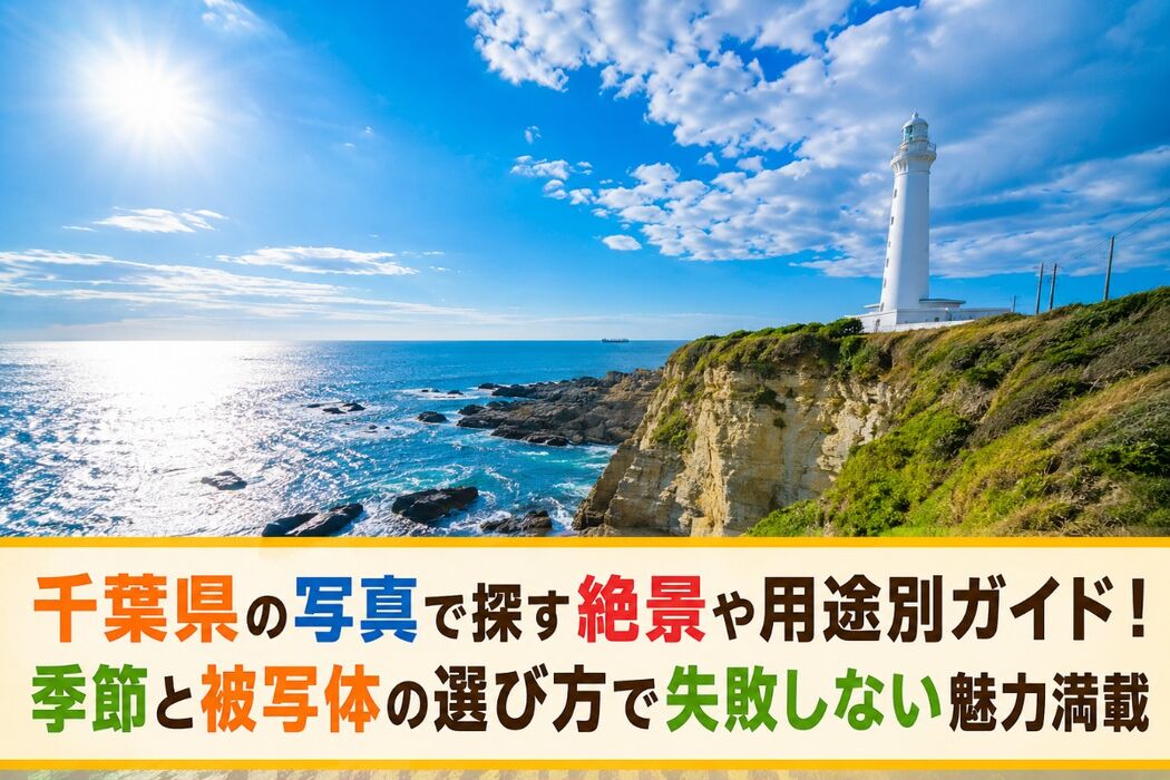 画像7206