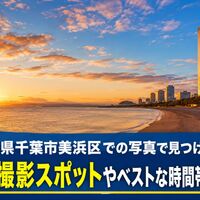 画像7336
