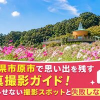 画像7358