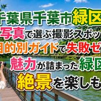 画像7412