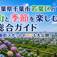 画像7433