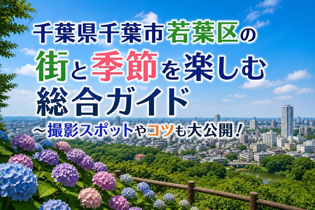 画像7433